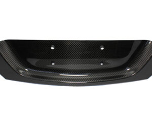 Mercedes Benz SLK R172 Central Back Trim Plate License