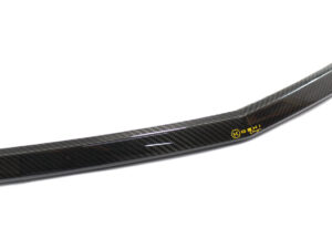 Mercedes Benz SLK R172 Front Splitter Cover