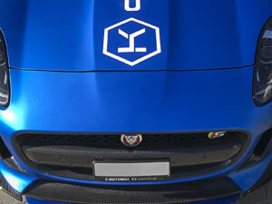 Jaguar F-Type Center Lip