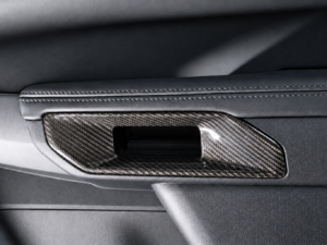 Ford Raptor Carbon Fiber Door Storage Trim / Door Pocket Trim